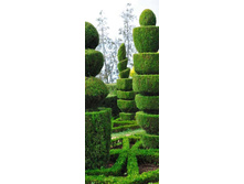 ������������ ��� ������, �������.jpg