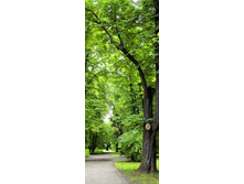 �������� ����.jpg