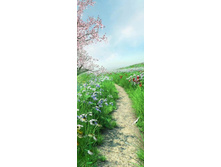 �������� ������ � ����.jpg