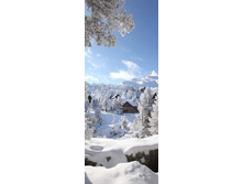 ������ ��.jpg