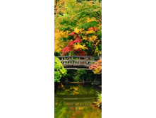 �������� ��� � ������.jpg