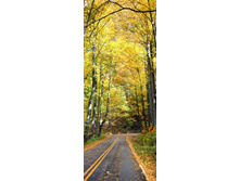 ������� ���.jpg