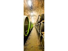 ������ ������.jpg