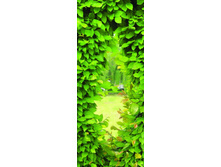 ���� ��������� �� �������.jpg