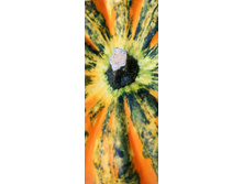 ����� � �����.jpg