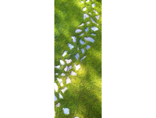 �������� ��������.jpg