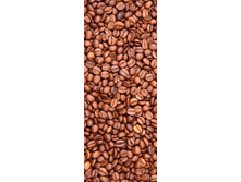 ���� � ڣ���� (������� �������).jpg