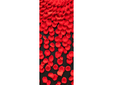 �������� ��� �� ޣ���� ����.jpg