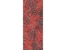 �� ������� ������� ��������.jpg