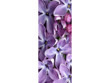 ����� ������ ������.jpg