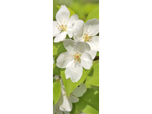 ����� ����� ������.jpg