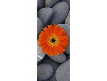 ������� ������� �� ���� ������.jpg