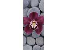 ������� ������� �� ���� ������.jpg