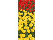 ������� � ������ ��������.jpg