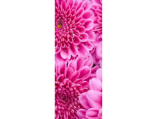 ��������� �����.jpg