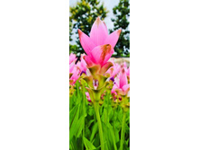 �������� �������.jpg