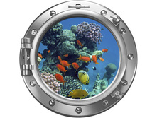 ��������� ���.jpg