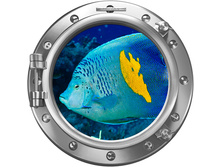 ���� �����.jpg