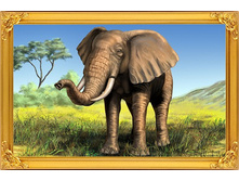 ����������� ����.jpg