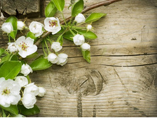 ����� �������� ������.jpg