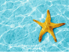 ������ ������� ������.jpg