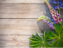 �������� ������.jpg