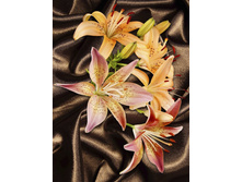 �����, ������� �� ۣ���.jpg