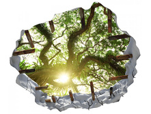 ������ � ��������.jpg