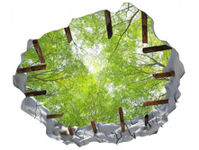 ������ ��������, ����������� ����.jpg