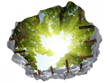 ���� ������ � ������ ����.jpg