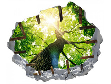 ��� ������� ������.jpg