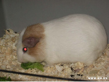 �������� ������