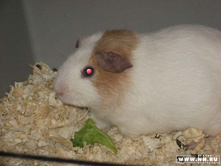 �� ��� ��� ����������� :)