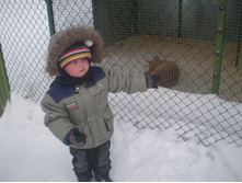 ����� ���� 2012 009.jpg