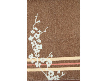 ��������� ��ң����.jpg