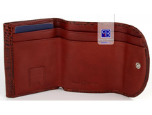 � ���������