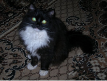 DSCN2138.jpg