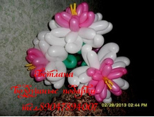 ������ �����