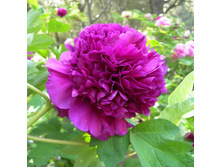 ���� ����������� ��� ���� ����.jpg