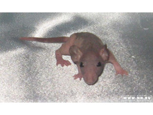 ��������� �������