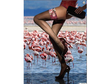 ����� ������� ROSA DEI VENTI 40 aut..jpg