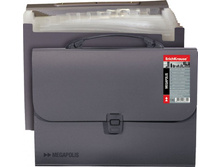 �������� �4 12 ��������� MEGAPOLIS 14442 ����� 271,02.jpg