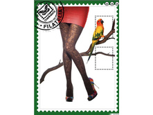 �������� ������� CANARIA 20.jpg