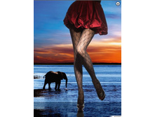 �12. �������� ������� DAYRON 40.jpg