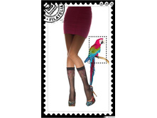 ������ ������� IMAGO 20 gamb..jpg