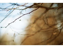 DSC_0476 1 ���.jpg