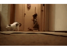 ����! ������!