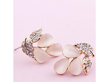 ������ �������,179 ���..jpg