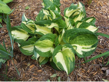 ����������(No2)