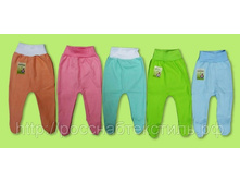 �������� 33�